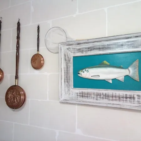 Coral Reef Flat 7 アパート *