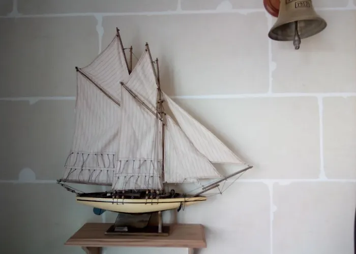 Daire Coral Reef Flat 7 *